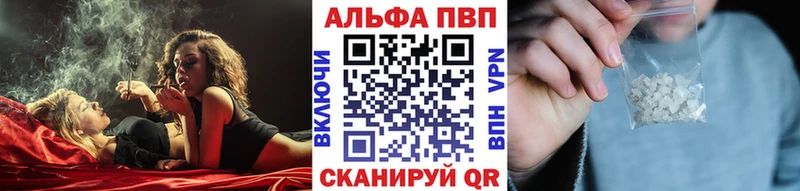 Альфа ПВП СК  Судогда 