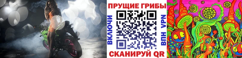 Псилоцибиновые грибы Cubensis  Судогда 